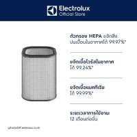 ราคา [อุปกรณ์เสริม] Electrolux EF21002 CLEAN Ultrafine particle filter ฟิลเตอร์กรองอากาศ (28262806239)