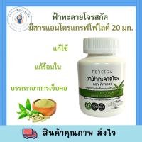 ราคา พร้อมส่ง Tescica ฟ้าทะลายโจรสกัด 100 แคปซูล Andrographolide 20 มก (16158923048)