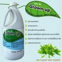 ราคา Grownupปุ๋ยบำรุงสำหรับผักหวานป่าโดยเฉพาะไม่มีเคมีสูตรน้ำชนิดเข้มข้นเร่งการแตกยอดโตเร็วทนทานต่อสภาพอากาศปรับสภาพดิน1000ml (18519794763)