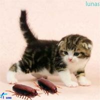 ราคา Luasol แมลงสาบสัตว ์ เลี ้ ยงแมวลูกสุนัขแปลกใหม ่ Gag ของเล ่ นตลกแบตเตอรี ่ (28700794803)