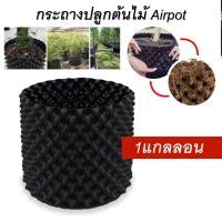 ราคา Megahouse กระถาง Air Pot ปลูกต้นไม้ กระถางมีรู มี 7 ขนาดให้เลือก 1 3 5 7 10 12 20 แกลลอน (21411491663)
