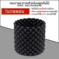 ราคา กระถางปลูกต้นไม้ Air pot 1 3 5 7 10 12 20 แกลลอน กระถางเพิ่มราก แผ่นเร่งราก แผ่นสำหรับเพาะต้นอ่อนต้นไม้ ต้นบอนไซ (20611510418)