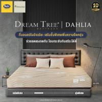 ราคา Satin ที่นอนซาติน Dream Tree รุ่น DAHLIA หนา 9 นิ้ว เลือกได้ 3 สี ที่นอนสปริงอัจฉริยะ เสริมชั้นพิเศษเพิ่มความยืดหยุ่น (7412896839)