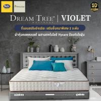 ราคา Satin Dream Tree ที่นอน รุ่น VIOLET หนา 10 นิ้ว นอนได้ 2 ด้าน แถมฟรีหมอนหนุน 2 ใบ หมอนข้าง 2 ใบ ส่งฟรี (3715705973)