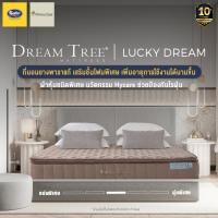 ราคา New Collection Dream Tree ที่นอนรุ่น Lucky Dream หนา 11 นิ้ว ที่นอนยางพาราแท้ เสริมชั้นโฟมพิเศษ เพิ่มอายุการใช้งานได้นานขึ้น แถมฟรีหมอนหนุน 2 ใบ ส่งฟรี (12028370617)