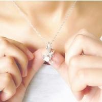 ราคา เครื่องประดับ สร้อยคอโซ่สั้น จี้ปลาโลมาน่ารัก ประดับเพชรเทียมคู่ (25725070343)