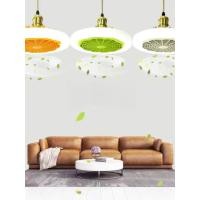 ราคา พัดลมเพดาน Hyundai ไฟพัดลมซ ็ อกเก ็ ตปิด 10 นิ ้ วพร ้ อมรีโมทคอนโทรล 3XZ (26550513933)