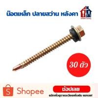 ราคา น๊อตเหล็ก สีรุ้ง 30 ตัว หัวบล็อค หัวบล็อก สกรู ปลายสว่าน สกรูปลายสว่าน ยึดหลังคา ยึดกระเบื้องลอนคู่ เจาะเหล็ก (8659967903)