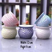 ราคา กระถางเซรามิคแฮนเมค Ceramic Handmade กระถางแคคตัส 1 ใบ (15951025921)