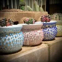ราคา กระถางเซรามิคแฮนเมค Ceramic Handmade (5153481448)