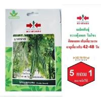 ราคา 5 ฟรี 1 คละได้ เมล็ดพันธุ์ บวบงูลูกผสม นาคราช ตรา ศรแดง เมล็ดผัก เมล็ดพันธุ์พืช เมล็ดพืช เมล็ดพันธุ์ผัก (4318773726)