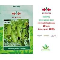 ราคา 5 ฟรี 1 คละได้ เมล็ดพันธุ์ แตงกวาลูกผสม สยาม ตราศรแดง เมล็ดผัก เมล็ดพันธุ์พืช เมล็ดพืช เมล็ดพันธุ์ผัก เมล็ดผัก (5012185141)