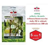 ราคา 5 ฟรี 1 คละได้ เมล็ดพันธุ์ มะเขือเปราะเขียวหยดเงิน ตราศรแดง เมล็ดผัก เมล็ดพันธุ์พืช เมล็ดพืช เมล็ดพันธุ์ผัก (6812124773)