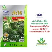 ราคา 5 ฟรี 1 คละได้ เมล็ดพ้นธุ์ ฟักทอง บัตเตอร์นัท 1009 ตรา เจียไต๋ เมล็ดพันธุ์ชนิดพิเศษ F1 เมล็ดพันธุ์ผัก เมล็ดผัก (6512120654)