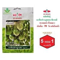 ราคา 5 ฟรี 1 คละได้ เมล็ดพันธุ์ มะเขือเปราะลูกผสม เขียวมณี ตราศรแดง เมล็ดผัก เมล็ดพันธุ์พืช เมล็ดพืช เมล็ดพันธุ์ผัก (4207735562)