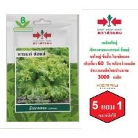 ราคา 5 ฟรี 1 คละได้ เมล็ดพันธุ์ ผักกาดหอม ตราศรแดง เมล็ดผัก เมล็ดพันธุ์พืช เมล็ดพืช เมล็ดพันธุ์ผัก ผักสวนครัว (6702128962)
