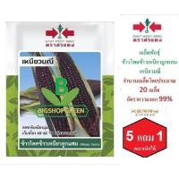 ราคา 5 ฟรี 1 คละได้ เมล็ดพันธุ์ ข้าวโพดข้าวเหนียวลูกผสม เหนียวมณี ตราศรแดง เมล็ดผัก เมล็ดพันธุ์พืช เมล็ดพืช เมล็ดพันธุ์ผ (6015481014)