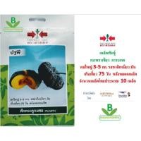 ราคา 5 ฟรี 1 คละได้ เมล็ดพันธุ์ ฟักทอง ปฐพี ตราศรแดง เมล็ดผัก เมล็ดพันธุ์พืช เมล็ดพืช เมล็ดพันธุ์ผัก เมล็ดผักสวนครัว (5012184773)