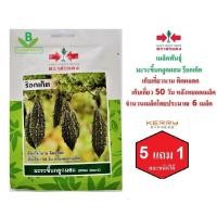 ราคา 5 ฟรี 1 คละได้ เมล็ดพันธุ์ มะระขี้นกลูกผสม ตราศรแดง เมล็ดผัก เมล็ดพันธุ์พืช เมล็ดพืช เมล็ดพันธุ์ผัก ผักสวนครัว (5607735997)