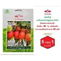 ราคา 5 ฟรี 1 คละได้ เมล็ดพันธุ์ มะเขือเทศผลใหญ่ลูกผสม ตรา ศรแดง เมล็ดผัก เมล็ดพันธุ์พืช เมล็ดพืช เมล็ดพันธุ์ผัก (6607736585)
