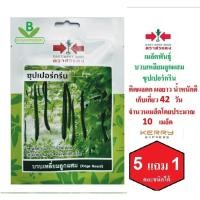 ราคา 5 ฟรี 1 คละได้ เมล็ดพันธุ์ บวบเหลี่ยมลูกผสม ซุปเปอร์กรีน ตราศรแดง เมล็ดผัก เมล็ดพันธุ์พืช เมล็ดพืช เมล็ดพันธุ์ผัก (4912185000)