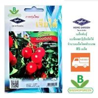 ราคา 5 ฟรี 1 คละได้ เมล็ดพันธุ์ มะเขือเทศ อีเป๋อเจียไต๋ เจียไต๋ เมล็ดพันธุ์ผัก เมล็ดผัก เมล็ดพันธุ์พืช เมล็ดพืช ผักสวนครัว (2585013154)