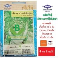 ราคา 5 ฟรี 1 คละได้ เมล็ดพันธุ์ ผักกาดขาวปลีพันธุ์เบา เจียไต๋ เมล็ดพันธุ์ผัก เมล็ดผัก เมล็ดพันธุ์พืช เมล็ดพืข ผักสวนครัว (2573257866)