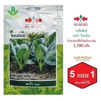 ราคา 5 ฟรี 1 คละได้ เมล็ดพันธุ์ คะน้า ไทรน้อย ตราศรแดง เมล็ดผัก เมล็ดพันธุ์พืช เมล็ดพืช เมล็ดพันธุ์ผัก ผักสวนครัว (6312130622)