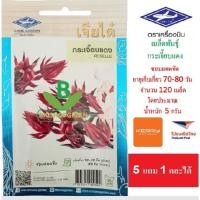 ราคา 5 ฟรี 1 คละได้ เมล็ดพันธุ์ กระเจี๊ยบแดง ตราเจียนไต๋ เมล็ดผัก เมล็ดพันธุ์พืช เมล็ดพืช เมล็ดพันธุ์ผัก เมล็ดผักสวนครัว (6709100150)