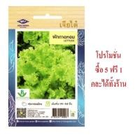 ราคา 5 ฟรี 1 คละได้ เมล็ดพันธุ์ ผักกาดหอม เจียไต๋ เมล็ดพันธุ์ผัก เมล็ดผัก เมล็ดพันธุ์พืช เมล็ดพืช มล็ดผักสวนครัว ผักสวนครัว (2616811763)