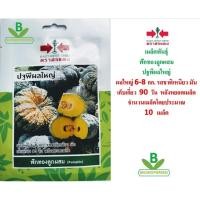 ราคา 5 ฟรี 1 คละได้ เมล็ดพันธุ์ ฟักทองลูกผสม ปฐพีผลใหญ่ ตราศรแดง เมล็ดผัก เมล็ดพันธุ์พืช เมล็ดพืช เมล็ดพันธุ์ผัก (4412130411)