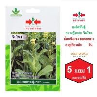 ราคา 5 ฟรี 1 คละได้ เมล็ดพันธุ์ ผักกาดกวางตุ้งดอก ริมโขง ตรา ศรแดง เมล็ดพันธุ์ผัก เมล็ดผัก เมล็ดพืช เมล็ดพันธุ์พืช (6868697312)