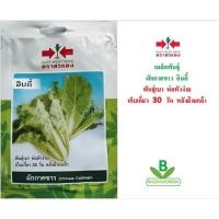 ราคา 5 ฟรี 1 คละได้ เมล็ดพันธุ์ ผักกาดขาว อินดี้ ตราศรแดง เมล็ดผัก เมล็ดพันธุ์พืช เมล็ดพืช เมล็ดพันธุ์ผัก เมล็ดผัก (6612184441)