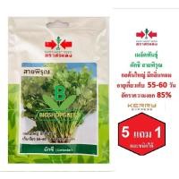 ราคา 5 ฟรี 1 คละได้ เมล็ดพันธุ์ ผักชี สายพิรุณ ตราศรแดง เมล็ดผัก เมล็ดพันธุ์พืช เมล็ดพืช เมล็ดพันธุ์ผัก เมล็ดผักสวนครัว (4568699044)