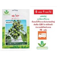 ราคา 5 ฟรี 1 คละได้ เมล็ดพันธุ์ มะเขือพวงไร้หนาม พวงขจี ตราศรแดง เมล็ดผัก เมล็ดพันธุ์พืช เมล็ดพืช เมล็ดพันธุ์ผัก เมล็ดผัก (6312130108)