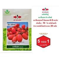 ราคา 5 ฟรี 1 คละได้ เมล็ดพันธุ์ มะเขือเทศ ปรางทิพย์ ตรา ศรแดง เมล็ดผัก เมล็ดพันธุ์พืช เมล็ดพืช เมล็ดพันธุ์ผัก ผักสวนครัว (7707737969)