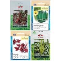 ราคา 5 ฟรี 1 ชุดเมล็ดพันธุ์ กระเจี๊ยบ เมล็ดพันธุ์ผัก เมล็ดผัก เมล็ดพืช เมล็ดพันธุ์พืช ผักสวนครัว (21384200984)