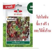 ราคา เมล็ดพันธุ์ กระเจี๊ยบแดง ทิพย์มณี ตราศรแดง เมล็ดพันธุ์ผัก เมล็ดผัก เมล็ดพันธุ์พืช เมล็ดพืช ลูกค้าแชทเลือกของแถมได้ (22386318120)