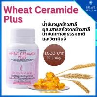 ราคา วีท เซราไมด์ น้ำมันจมูกข้าว จมูกข้าวสาลี ผสมน้ำมันมะกอกธรรมชาติ วิตามินอี จมูกข้าวแคปซูล ผิวสวย สุขภาพ Wheat Ceramide (22828008190)