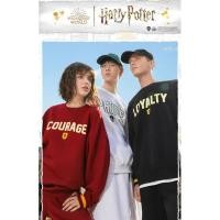 ราคา SPAO x Harry Potter Unisex College Series Sweater เสื้อกันหนาวแขนยาวเกาหลีแฮร์รี่ (17795843242)