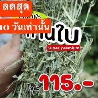 ราคา โปรเดือนสุดท้าย หญ้าอัลฟาฟ่าก้านใบ alfafa หญ้ากระต่าย สำหรับกระต่าย สัตว์ฟันแทะทุกชนิด แบบก้านใบ ไม่สับ เขียวๆ สวยๆ รา (22706380165)