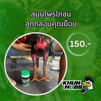 ราคา ยาไก่ สมุนไพรบำรุงไก่ชน คุณม็อบ ยาไก่ชน ชุดเลี้ยงไก่ชน บำรุงไก่ชน (24610485633)
