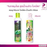 ราคา จินดา จินดาสมุนไพร แชมพูและครีมนวด ใบหมี่สด น้ำนมข้าว วิตามินบี5 250มล (13275070616)
