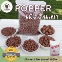 ราคา เม็ดดินเผามวลเบา 1 ลิตร เม็ดปอปเปอร์ ป็อปเปอร์ Popper ดินโรยกระถางมอนสเตอร่า ดินโรยบอนสี ดินโรยไทรใบสัก (6290340507)