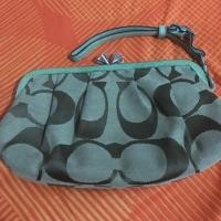 ราคา Coach แท้คล้องมือแต่ง หนังงูแท้ (1954238833)