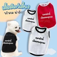ราคา พร้อมส่ง เสื้อสัตว์เลี้ยง สกรีนคำคมน่ารัก ชุดน้องหมา น้องแมว (24065299186)