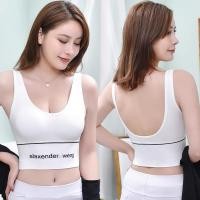 ราคา สปอร์ตบรา แบบสวม เสริมฟองน้ำ SPA บราเว้ารูปตัว U แฟชั่น ไร้ขอบแบบสวม พร้อมส่งจากไทย (21484161306)