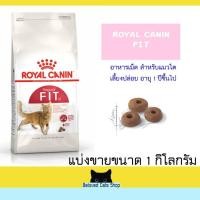 ราคา Royal Canin Fit แบ่งขาย 1 กิโลกรัม (25903104099)