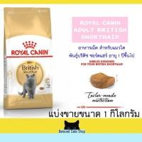 ราคา Royal Canin British Shorthair แบ่งขาย 1 กิโลกรัม (17196887984)