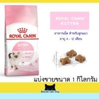 ราคา Royal Canin Kitten แบ่งขาย 1 กิโลกรัม (25562750102)